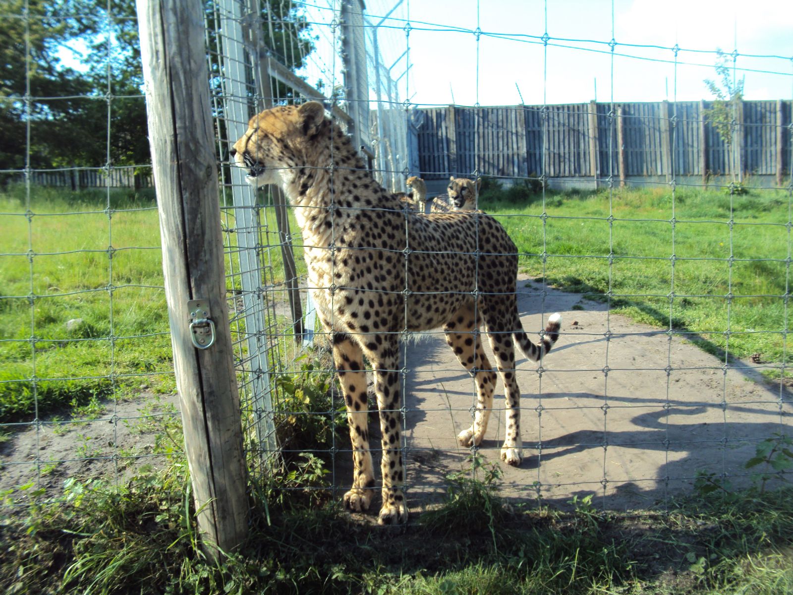 West Midland Safari Park